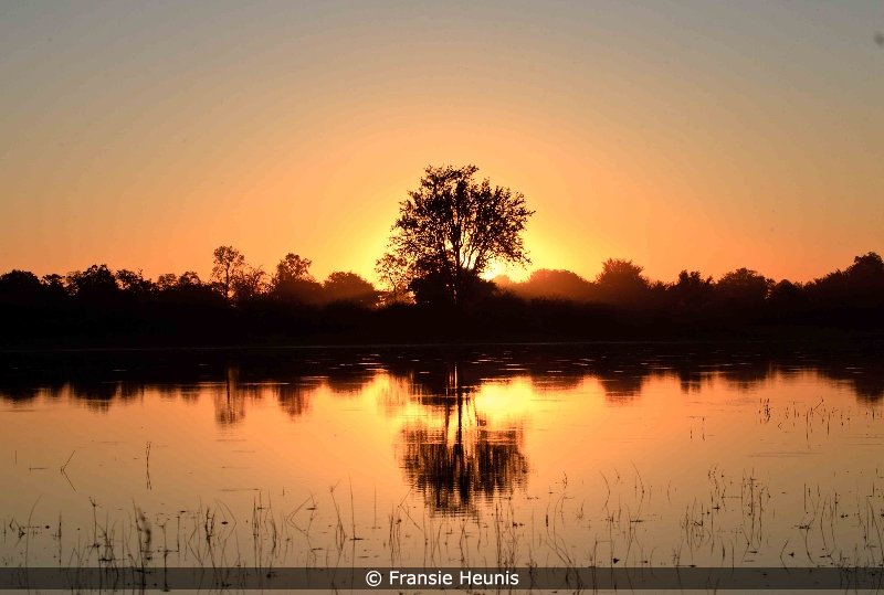 Sunset in Okavanga Delta, Botswana